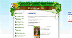 Desktop Screenshot of bilmecelerimiz.com